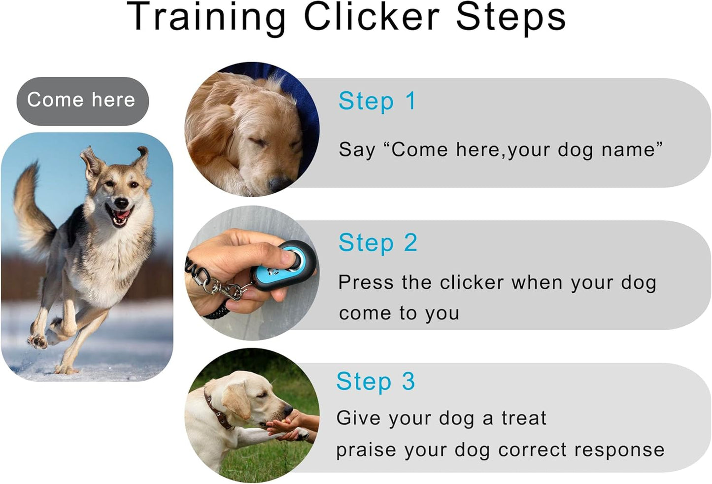 Pet Clicker for Dogs/Cats/Horses/Birds or Other Animals - Clickers for Training (Blue + Green)