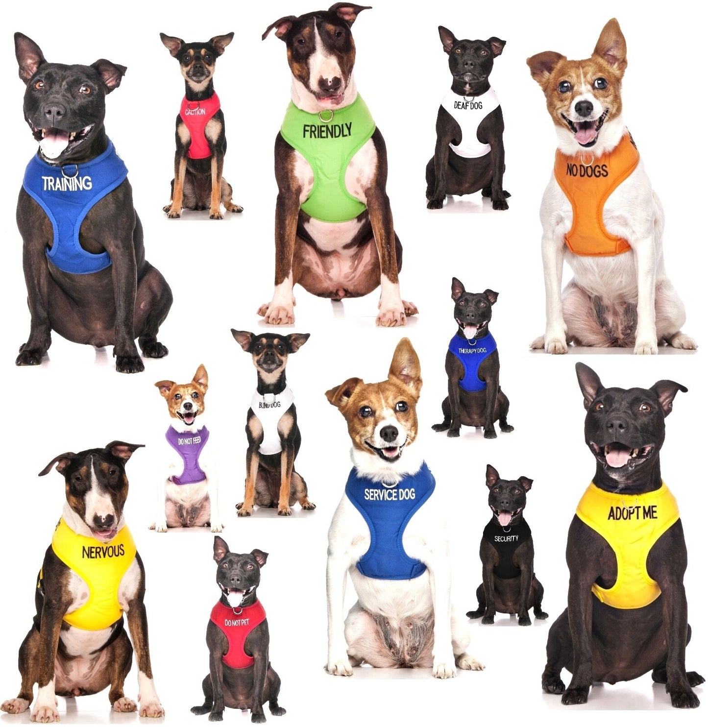 Relax Walk NERVOUS Dog Lead Safety Prevention Also Matching Yellow Collar