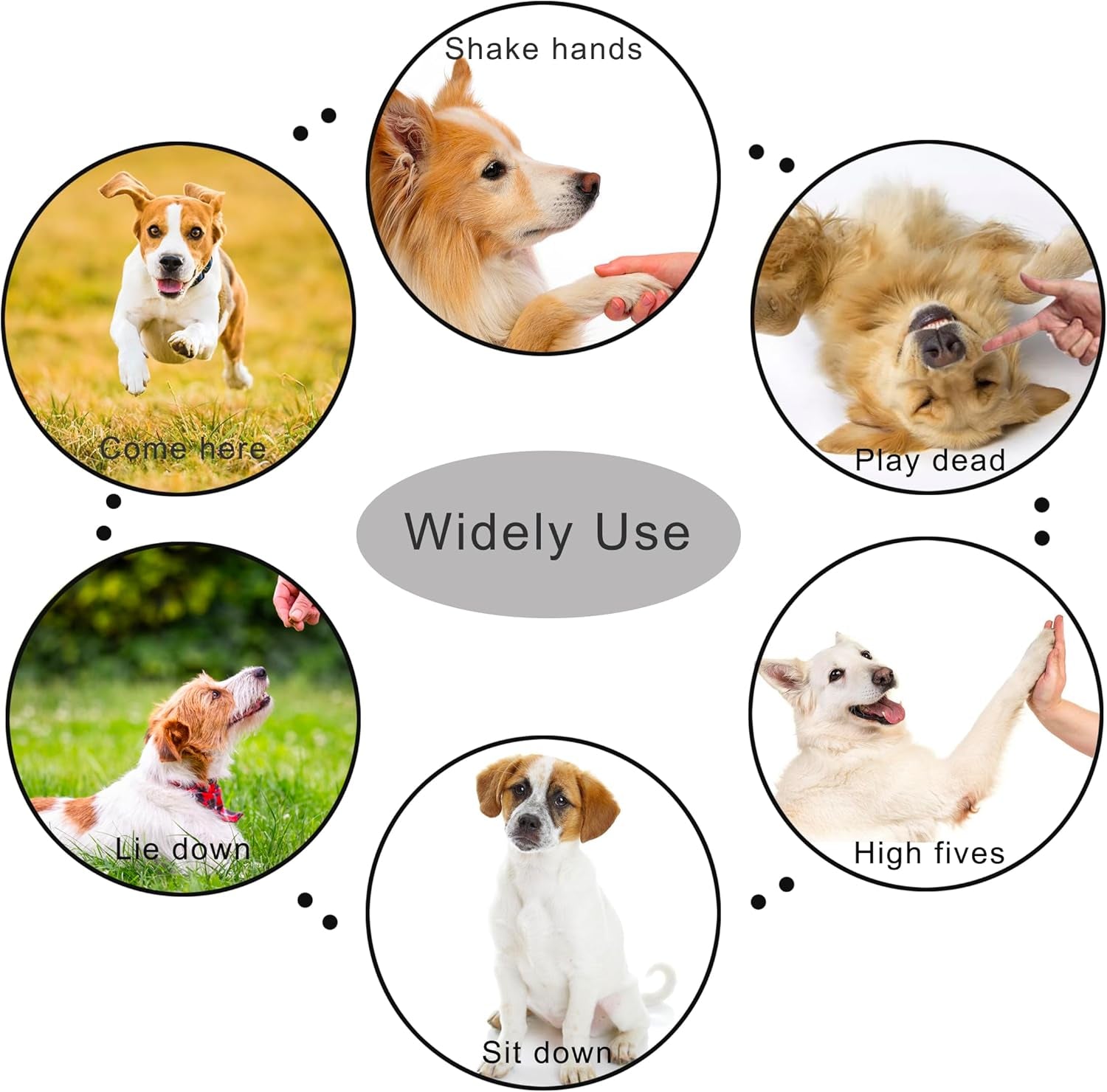 Pet Clicker for Dogs/Cats/Horses/Birds or Other Animals - Clickers for Training (Blue + Green)