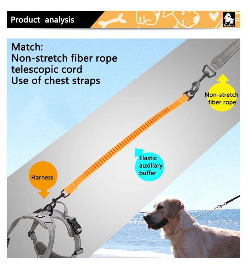 Short Bungee Leash Nylon Leash for Dog Collar Extension Retractable for All Breed Training Running Walking TLL29712