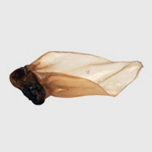 Buffalo Ears Large 50s