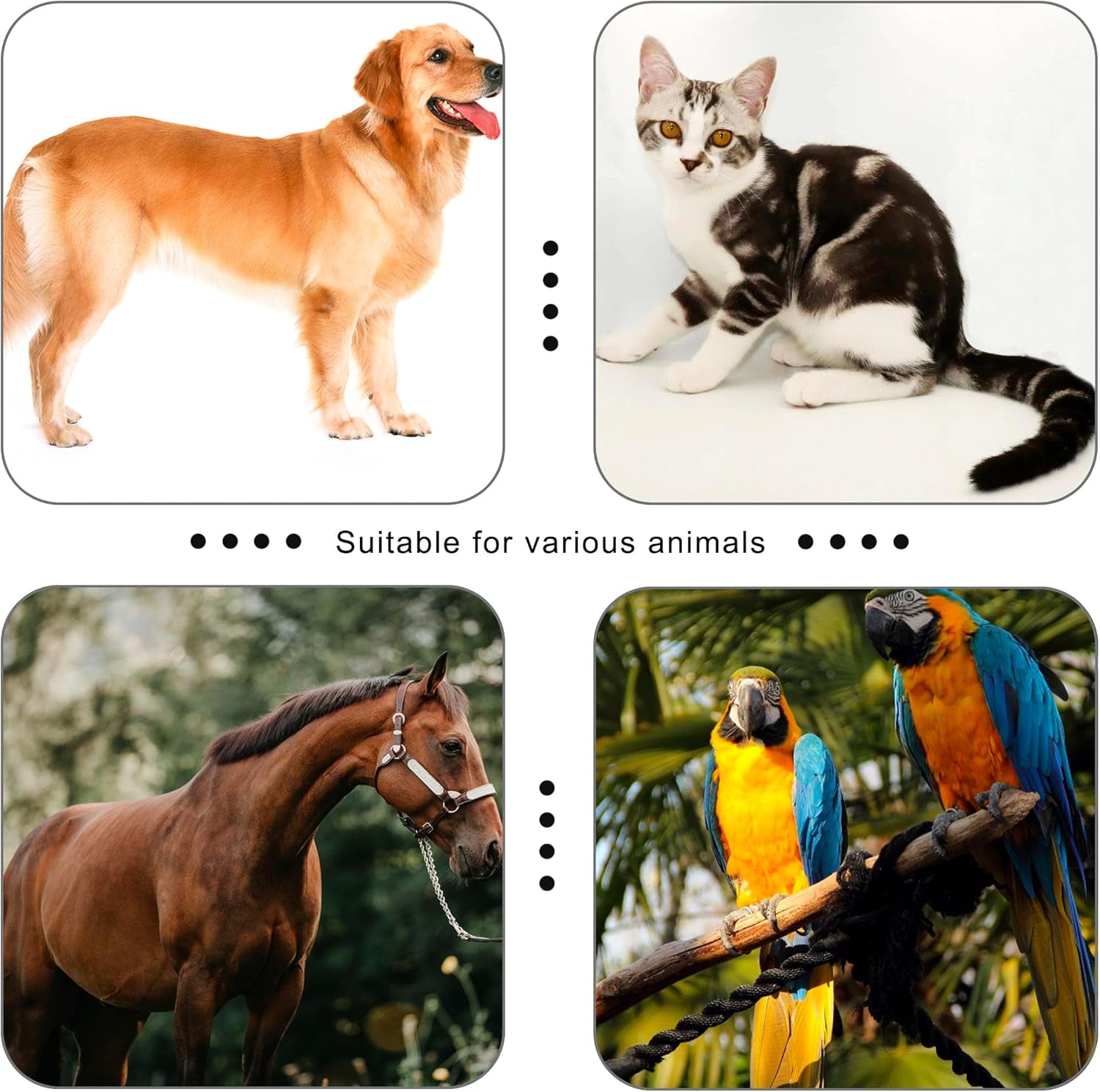 Pet Clicker for Dogs/Cats/Horses/Birds or Other Animals - Clickers for Training (Blue + Green)