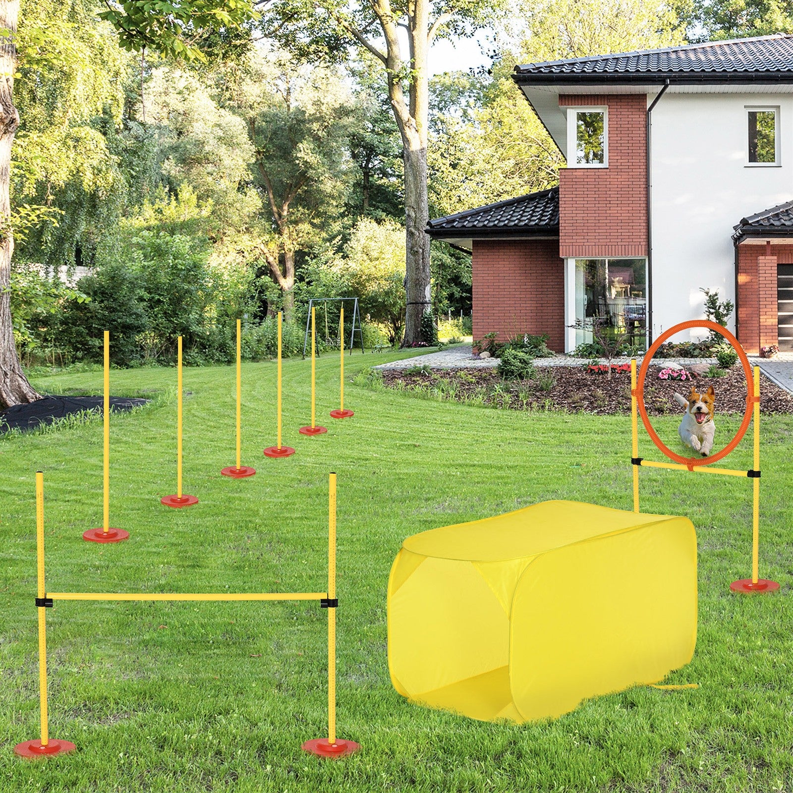 Outdoor 4 Pcs Dog Pet Agility Training Equipment Backyard Starter Course Set