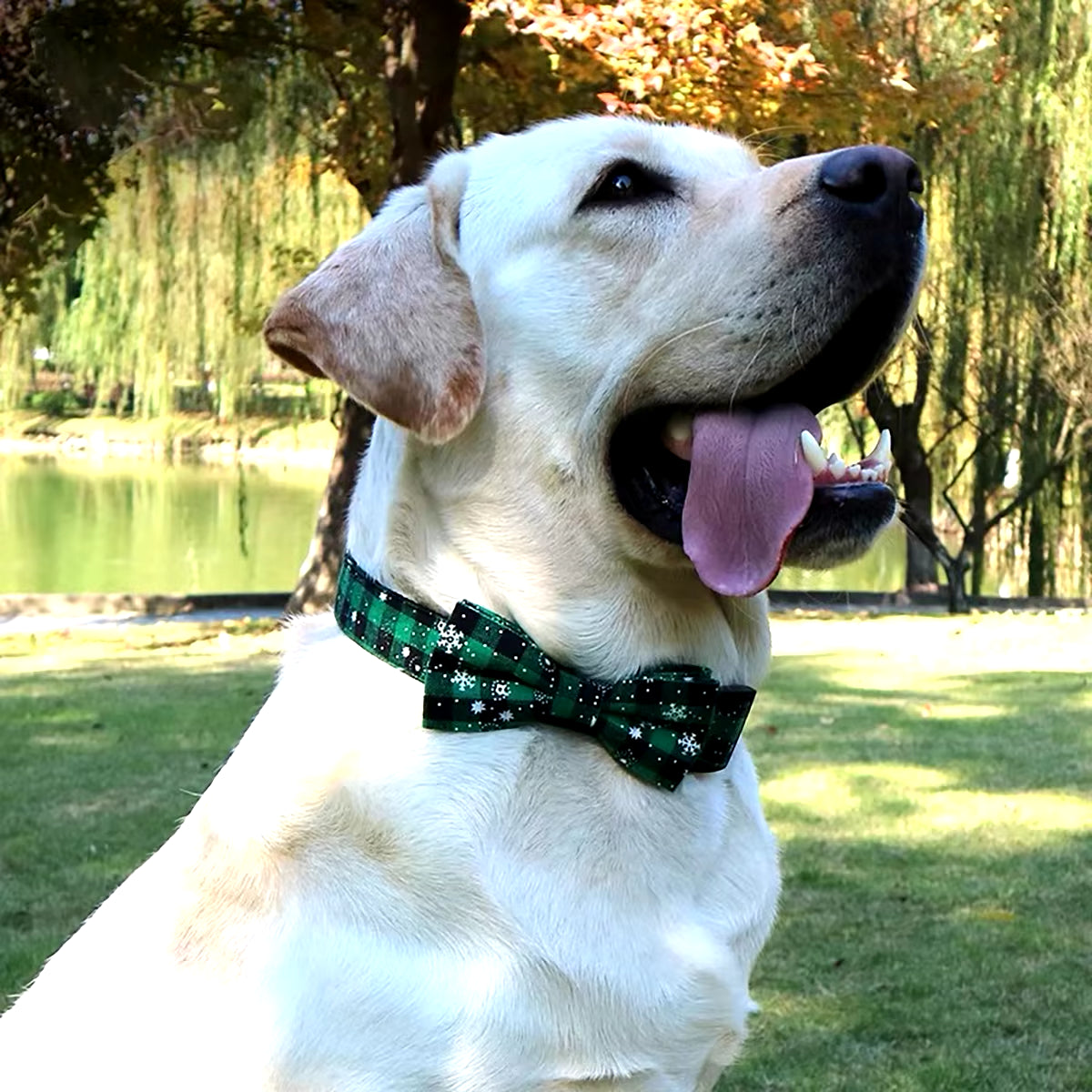 Dog Collar with Bow Tie,Christmas Plaid Snowflake Dog Collar with Adjustable Buckle Suitable for Small Large Dogs Cats Pets