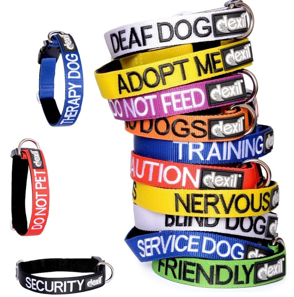 Relax Walk NERVOUS Dog Lead Safety Prevention Also Matching Yellow Collar