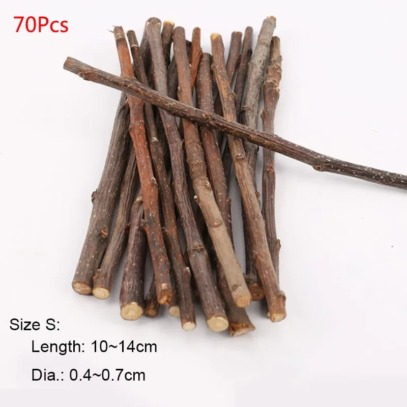 Professional Hamster Rabbit Teeth Grinding Apple Tree Stick Minerals Molar Stone Toys for Chinchilla Hamster Pettoys Accessories