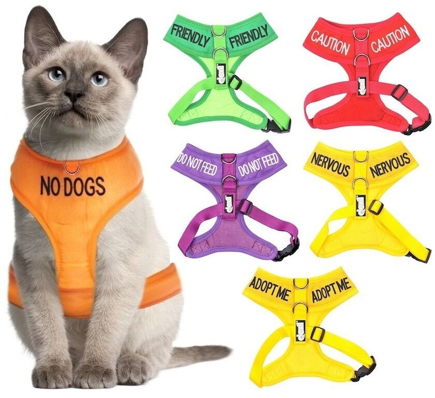 Relax Walk NERVOUS Dog Lead Safety Prevention Also Matching Yellow Collar