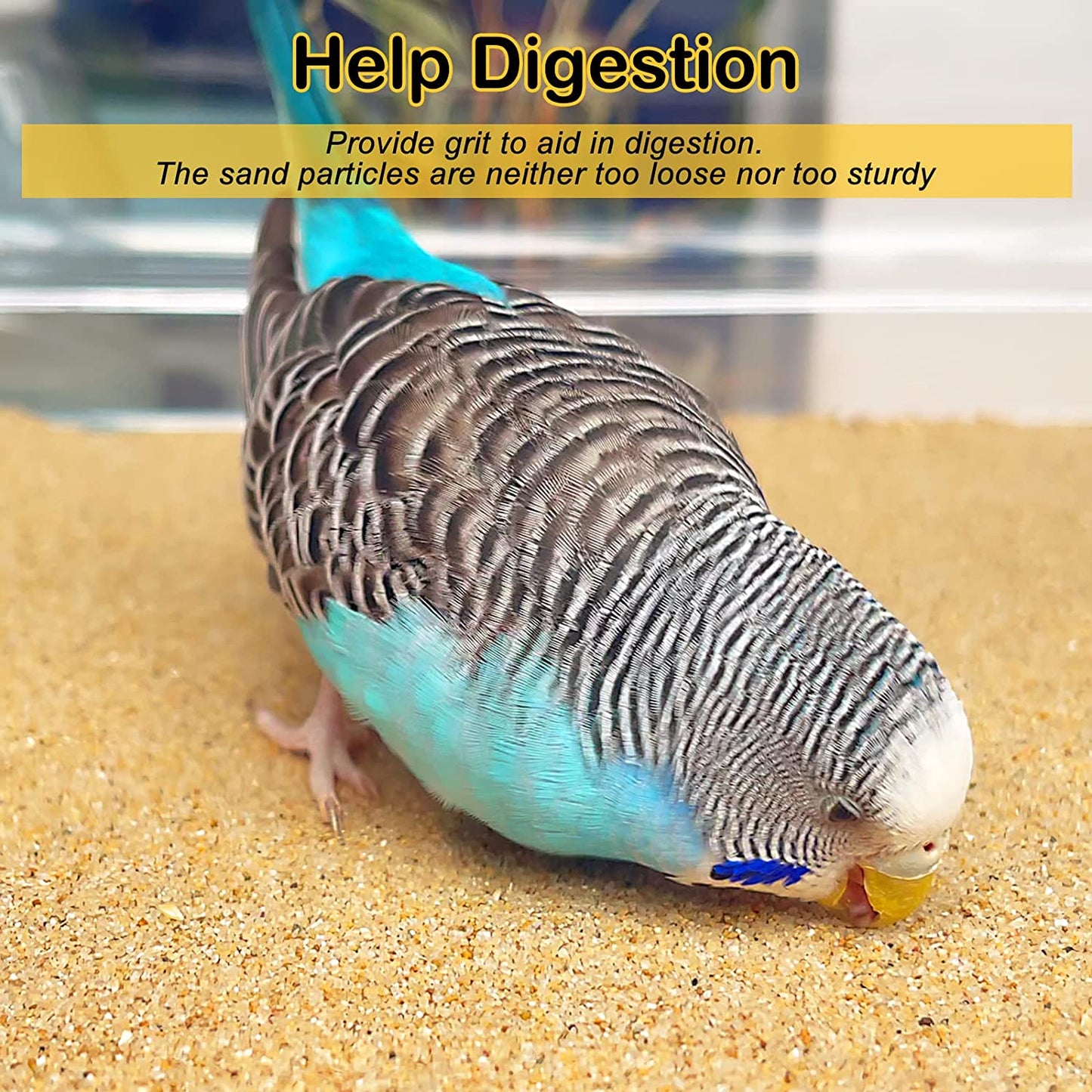 Sand Sheets for Bird Cages,30Pcs/Pack (33CM X 25CM - 30PCS)