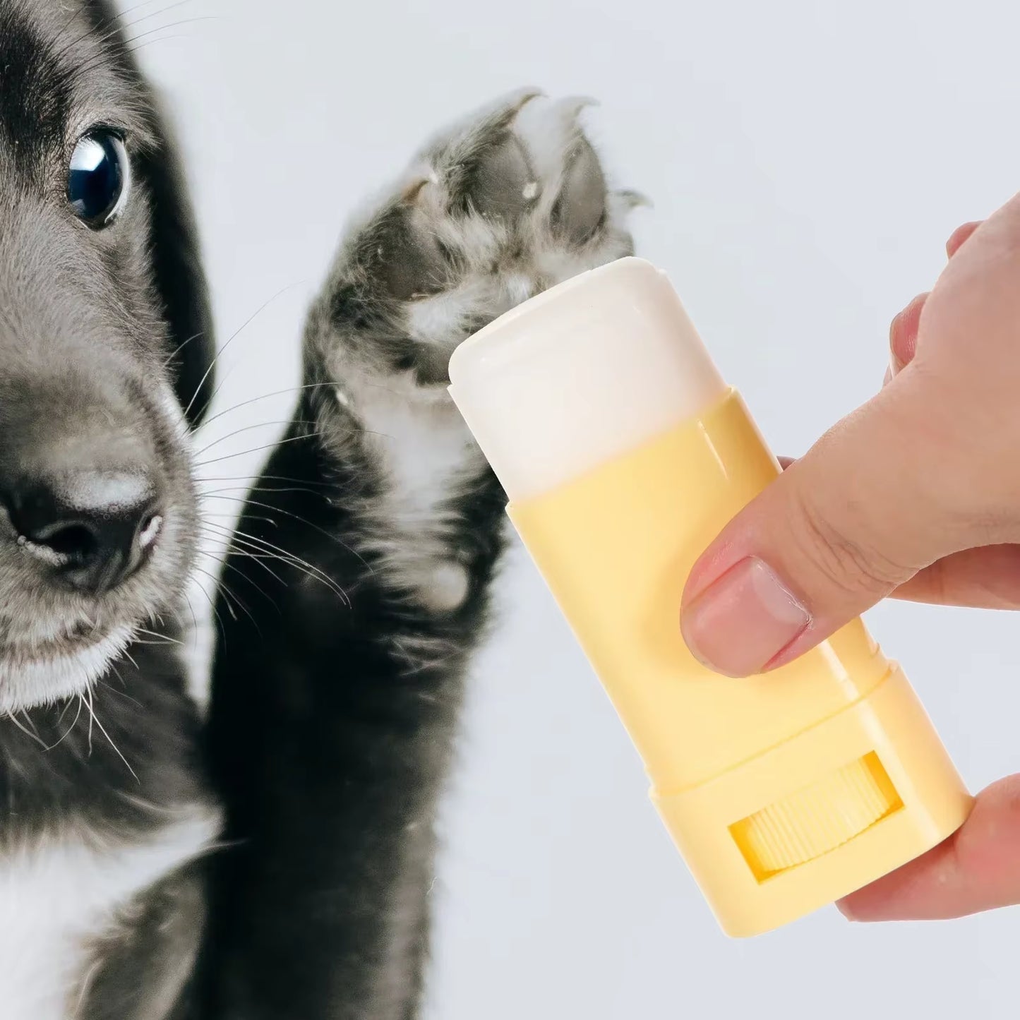 15Gpet Paw Balm Cat Dog Caring Supplies Foot Moisturizer Household Care Winter Paws Cream Cat Grooming Dog Supplies Pet Products