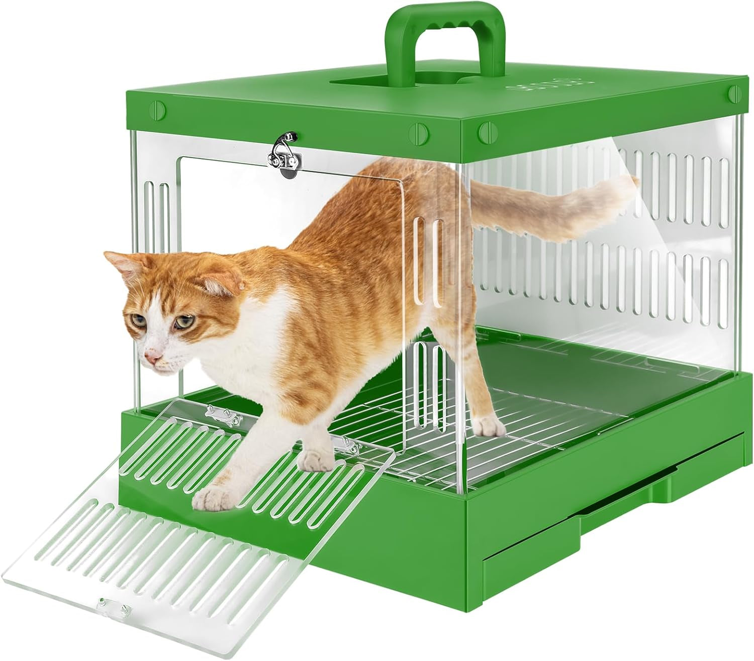 Cat Carrier Hard Pet Dog Rabbit Reptile Carrier 360° View of Your Pet Suitable Small Medium 15.9" X 12.8" X 12.8" Pet Travel Indoor Outdoor Pet Carrier (Green)