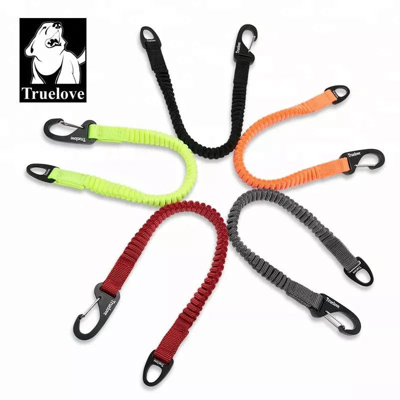 Short Bungee Leash Nylon Leash for Dog Collar Extension Retractable for All Breed Training Running Walking TLL29712