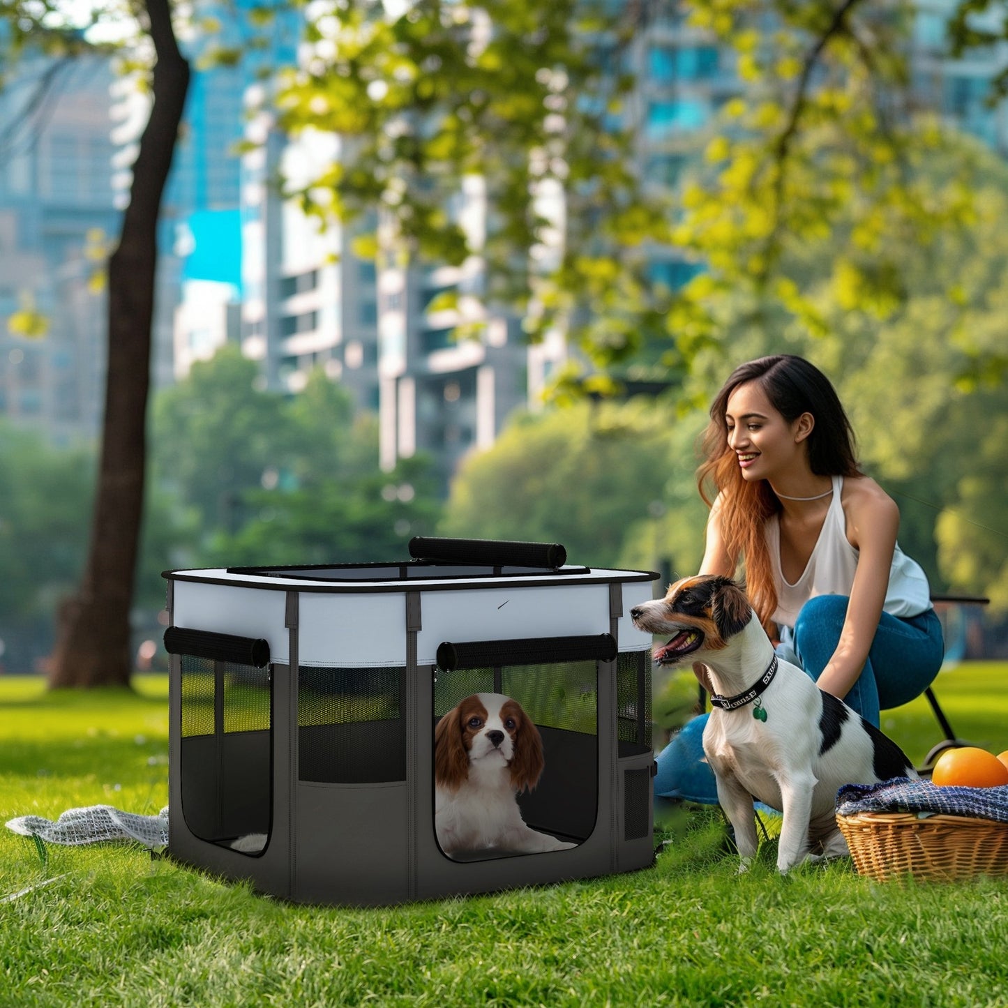 Pawhut Portable Dog Pen for Puppies, Rabbits, Kittens, Guinea Pigs - Grey