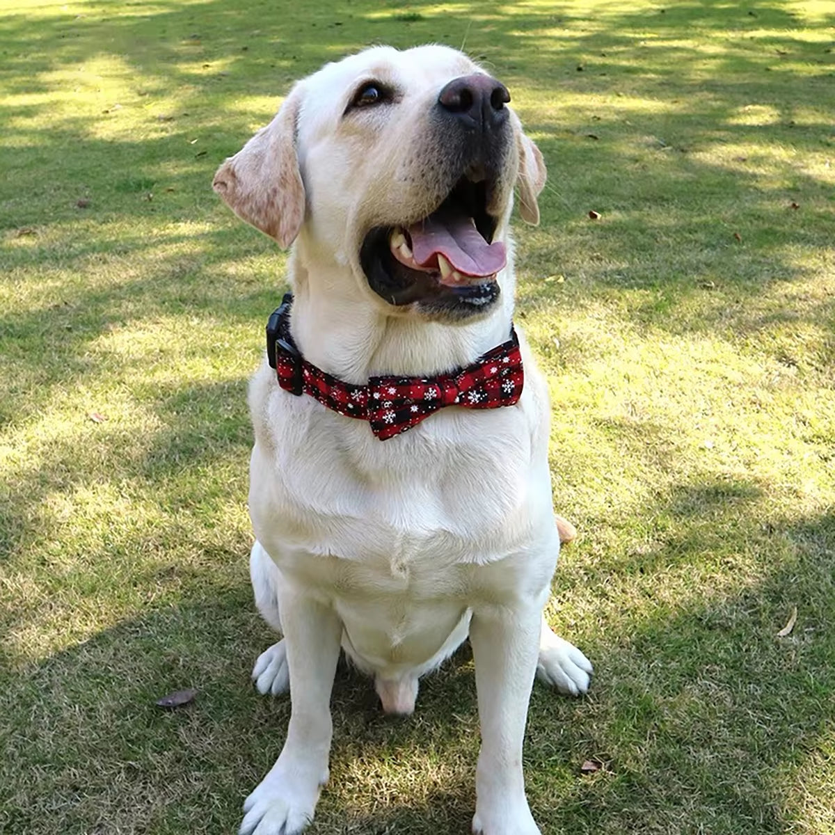 Dog Collar with Bow Tie,Christmas Plaid Snowflake Dog Collar with Adjustable Buckle Suitable for Small Large Dogs Cats Pets
