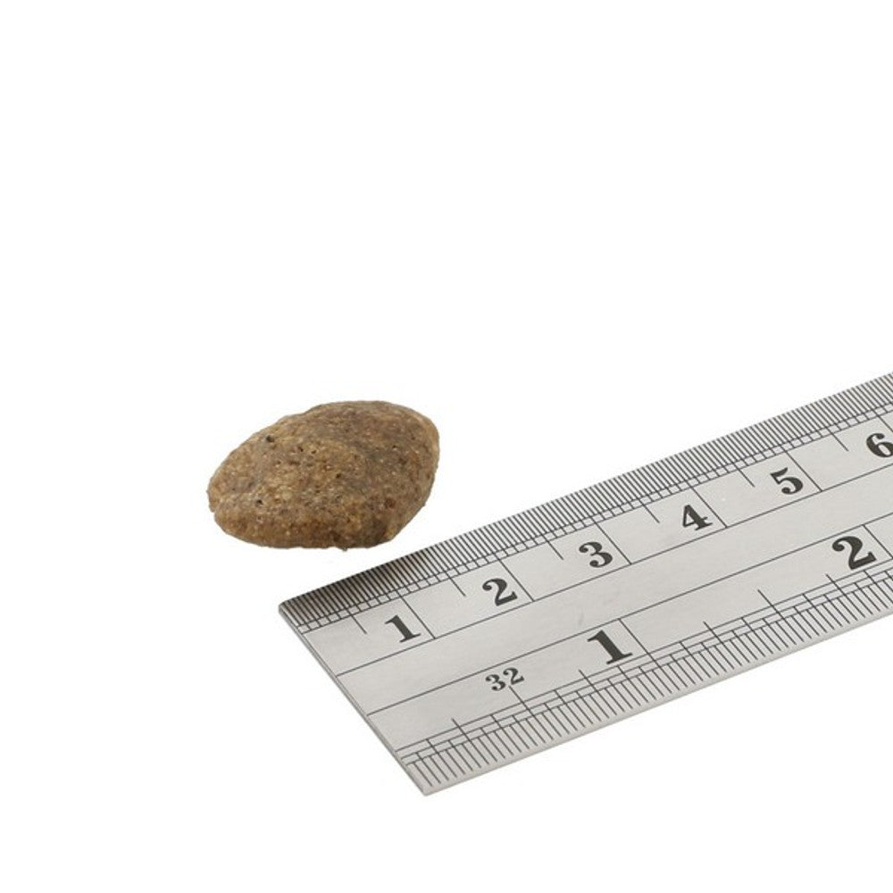 Fish4Dogs Finest Adult White Fish With Potato (Large Kibble) 12kg