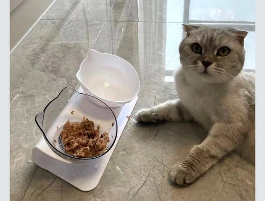 Non-Slip Double Cat Bowl Pet Water Food Feed Dog Bowls Pet Bowl with Inclination Stand Cats Feeder Feeding Bowl Kitten Supplies