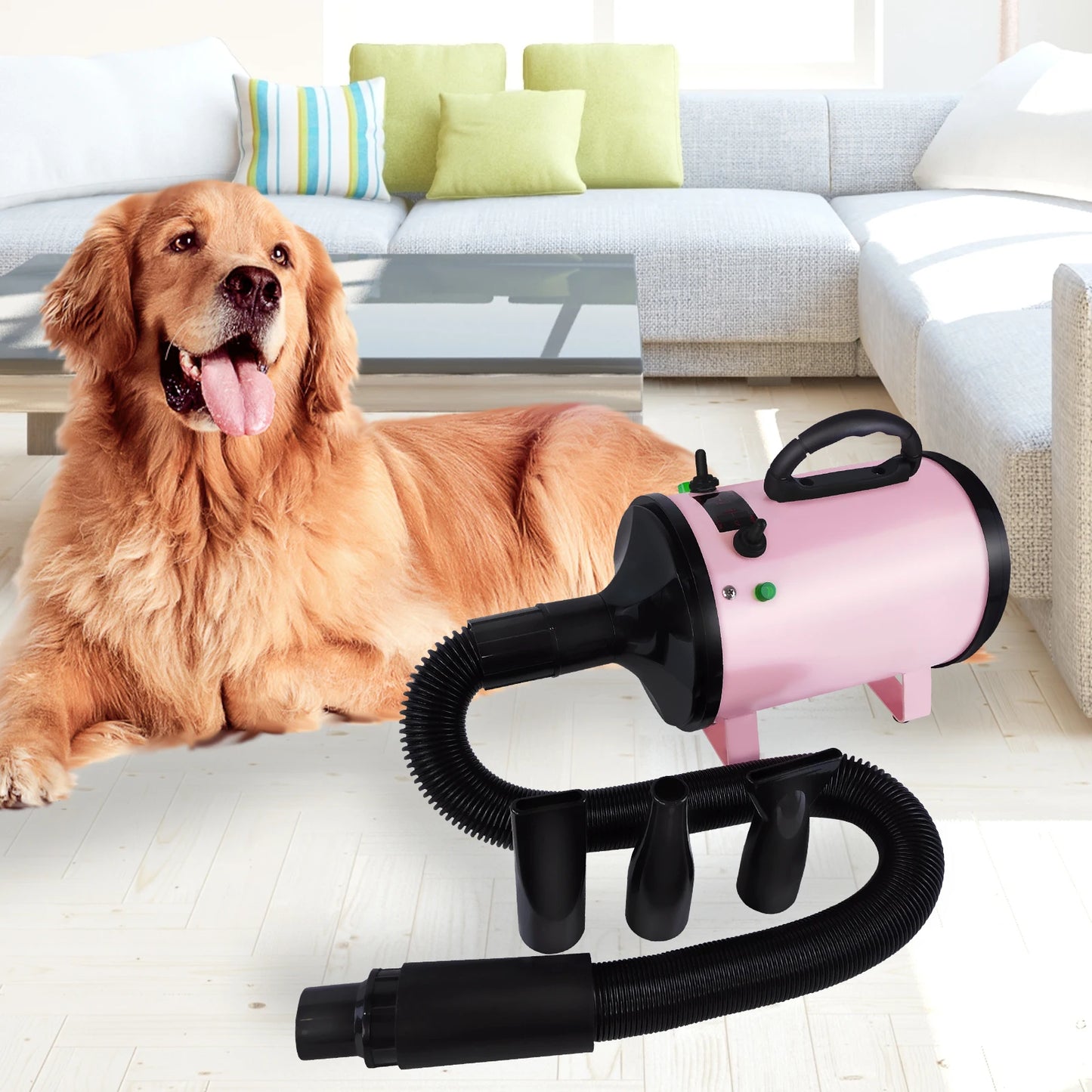 2000W-2800W Pet Hair Dryer, 35°C and 65 °C, Speed: 50M/S ~ 100M/S, Stepless Adjustable, 2.5M Extendable Hose, 3 Nozzles