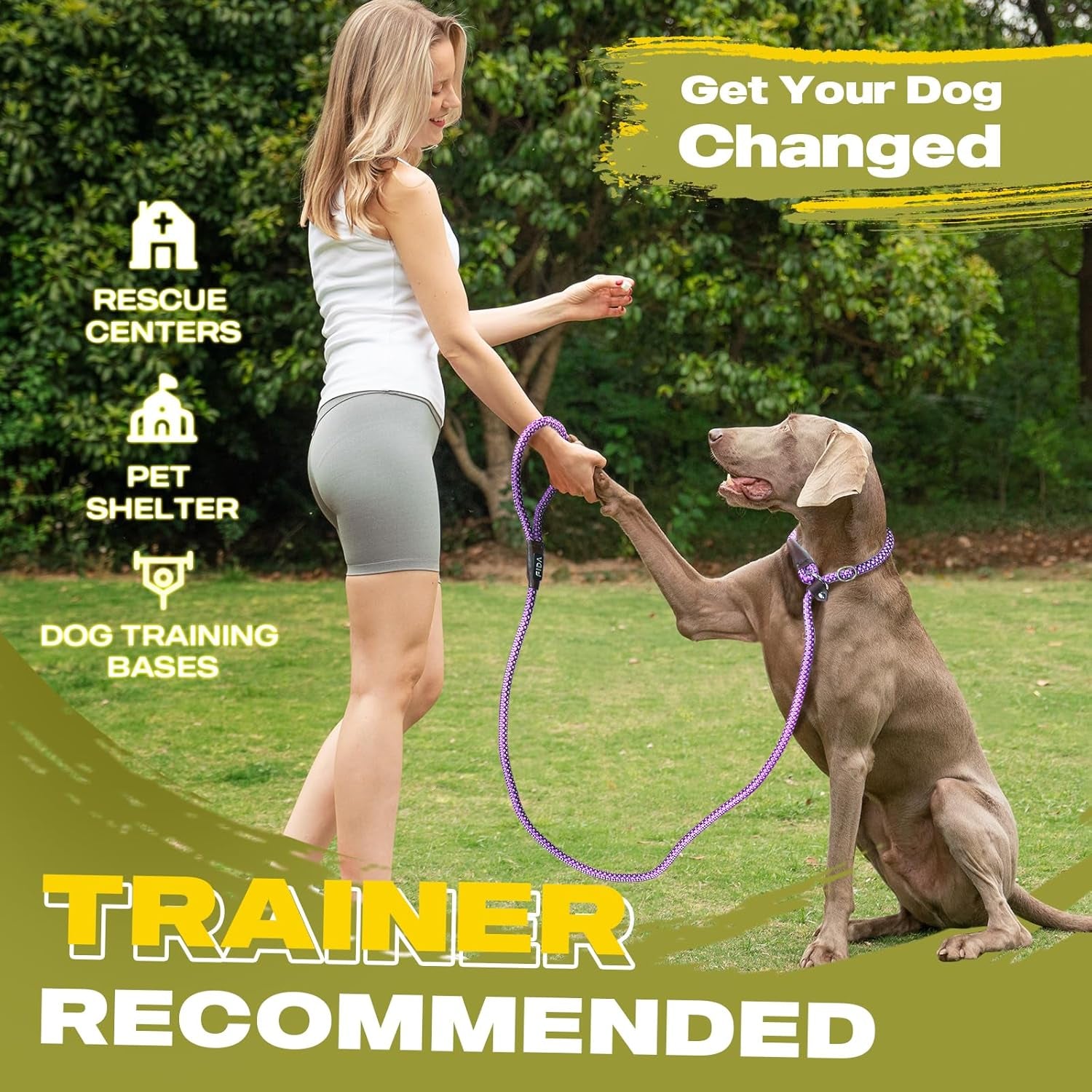 Slip Leads for Dogs - 4 FT X 1/2" Heavy Duty Comfortable Strong Rope Leash for Large, Medium Dogs - No Pull Pet Training Leash with Highly Reflective, Purple
