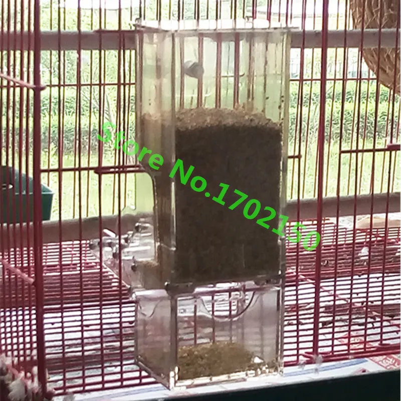 1 Pcs Feeder Bird Automatic Feeders Bird Food Ontainer Bird Food Feeders for Pigeons Parrot Starling Pet Birds Feeding Devices