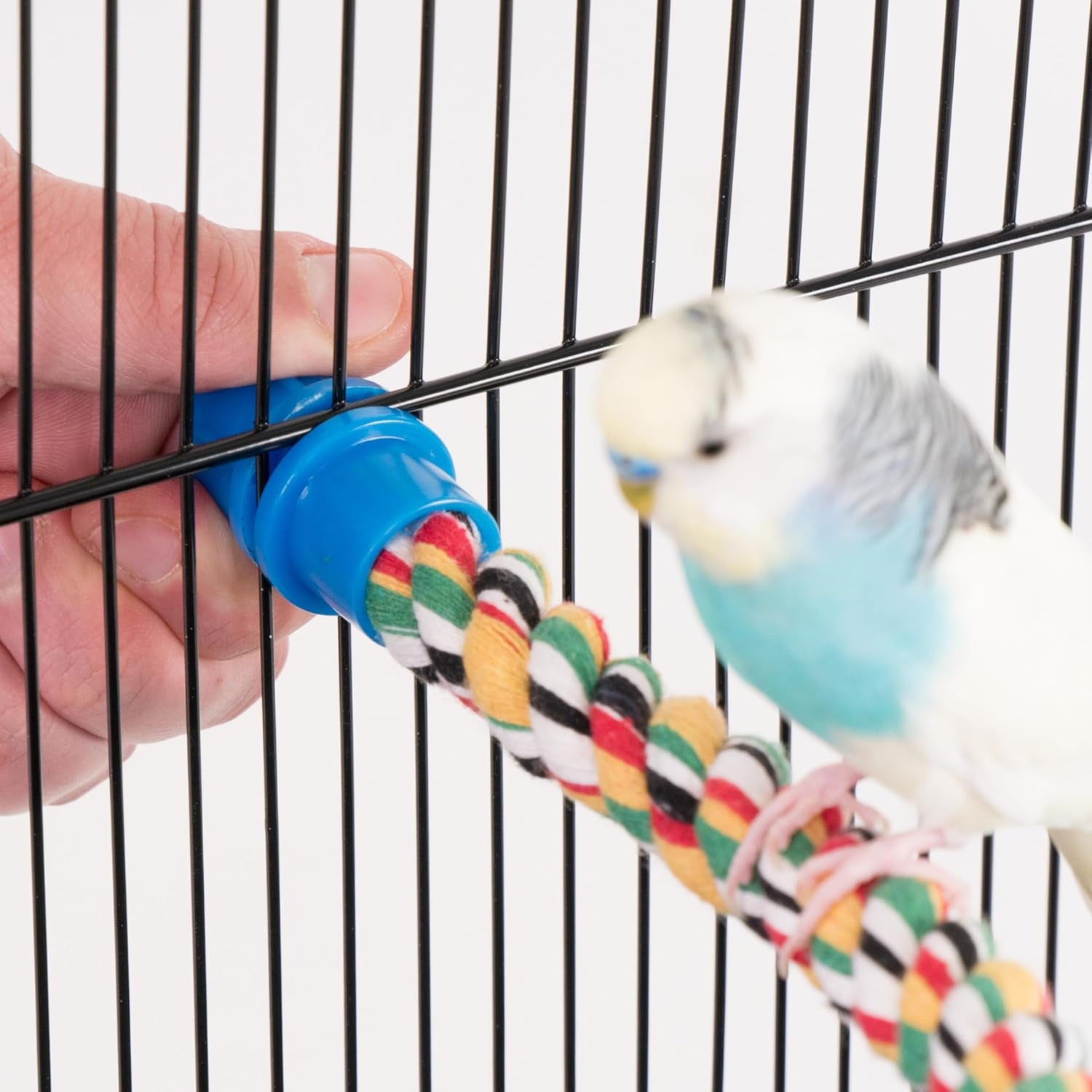 Bird Life Multicolored and Flexible Rope Perch – Create Fun, Colorful Curves and Bends – Great for Small and Medium Birds – 21” Long