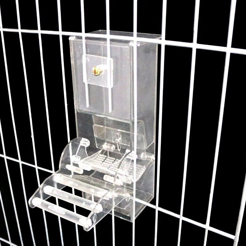 1 Pcs Feeder Bird Automatic Feeders Bird Food Ontainer Bird Food Feeders for Pigeons Parrot Starling Pet Birds Feeding Devices