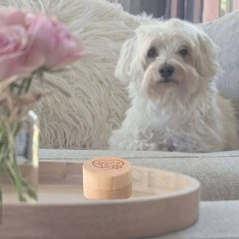Dog Hair Keepsake Box Wooden Engraved Pet Memorial Box Pet Storage Box for Dog and Cat Ashes Wooden Engraved Dog Tooth Box Dog