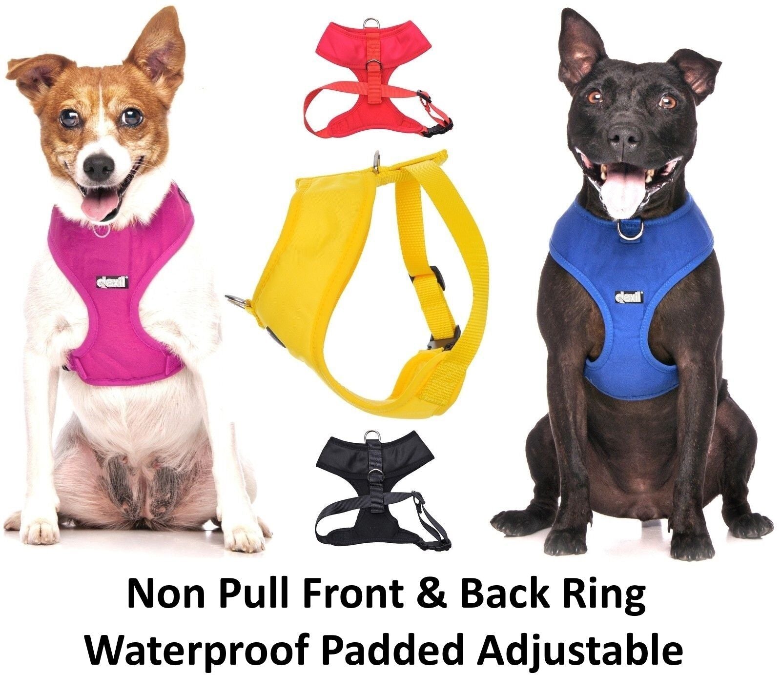 Relax Walk NERVOUS Dog Lead Safety Prevention Also Matching Yellow Collar
