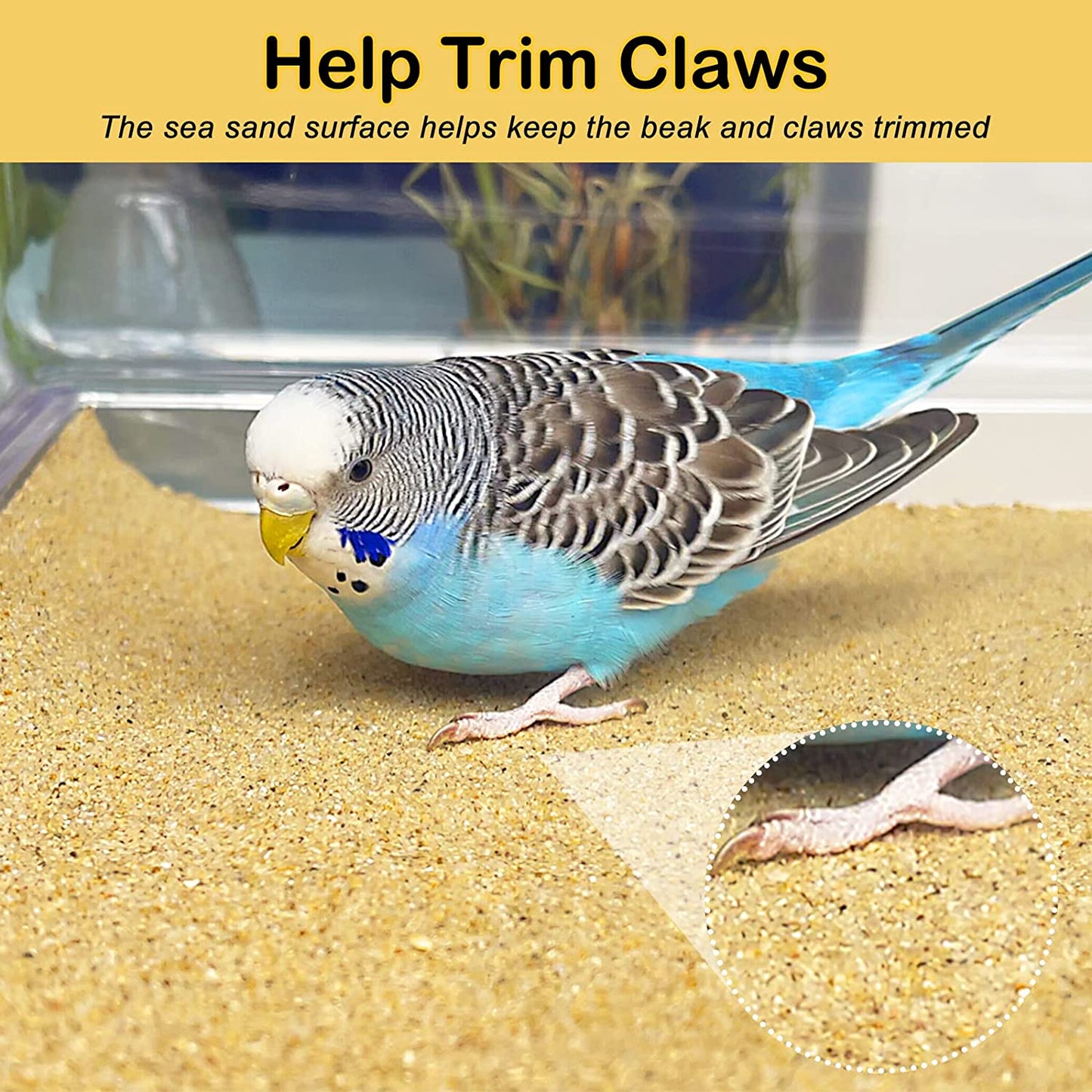 Sand Sheets for Bird Cages,30Pcs/Pack (33CM X 25CM - 30PCS)