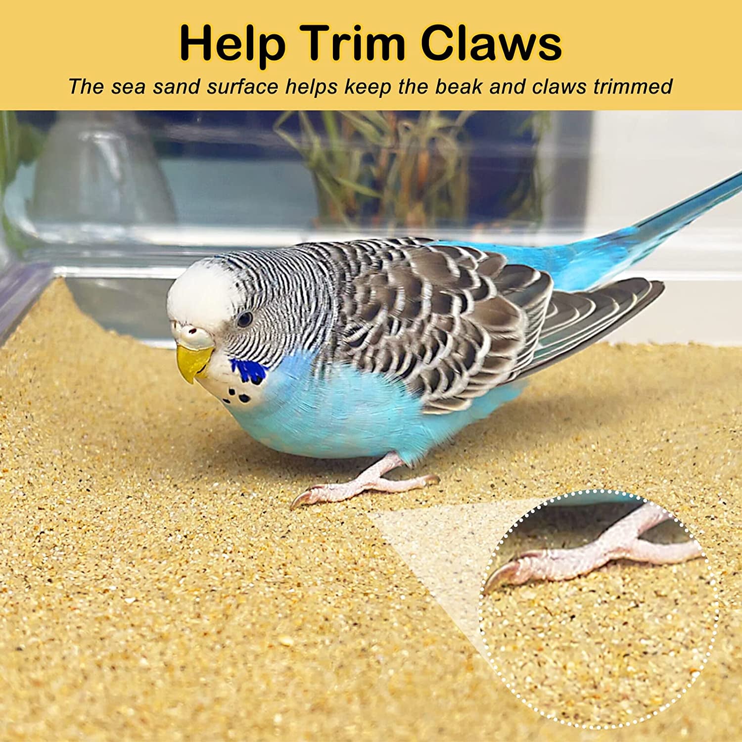 Sand Sheets for Bird Cages,30Pcs/Pack (33CM X 25CM - 30PCS)