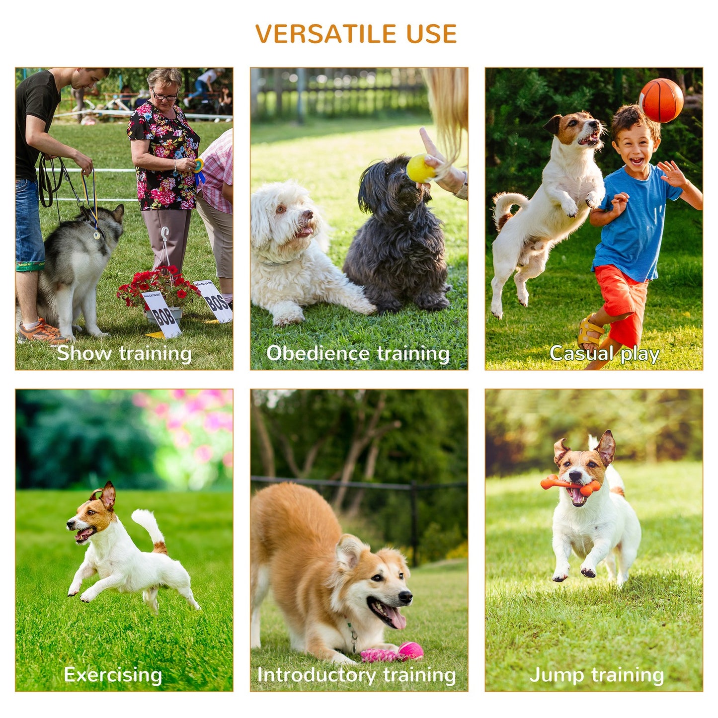 Outdoor 4 Pcs Dog Pet Agility Training Equipment Backyard Starter Course Set