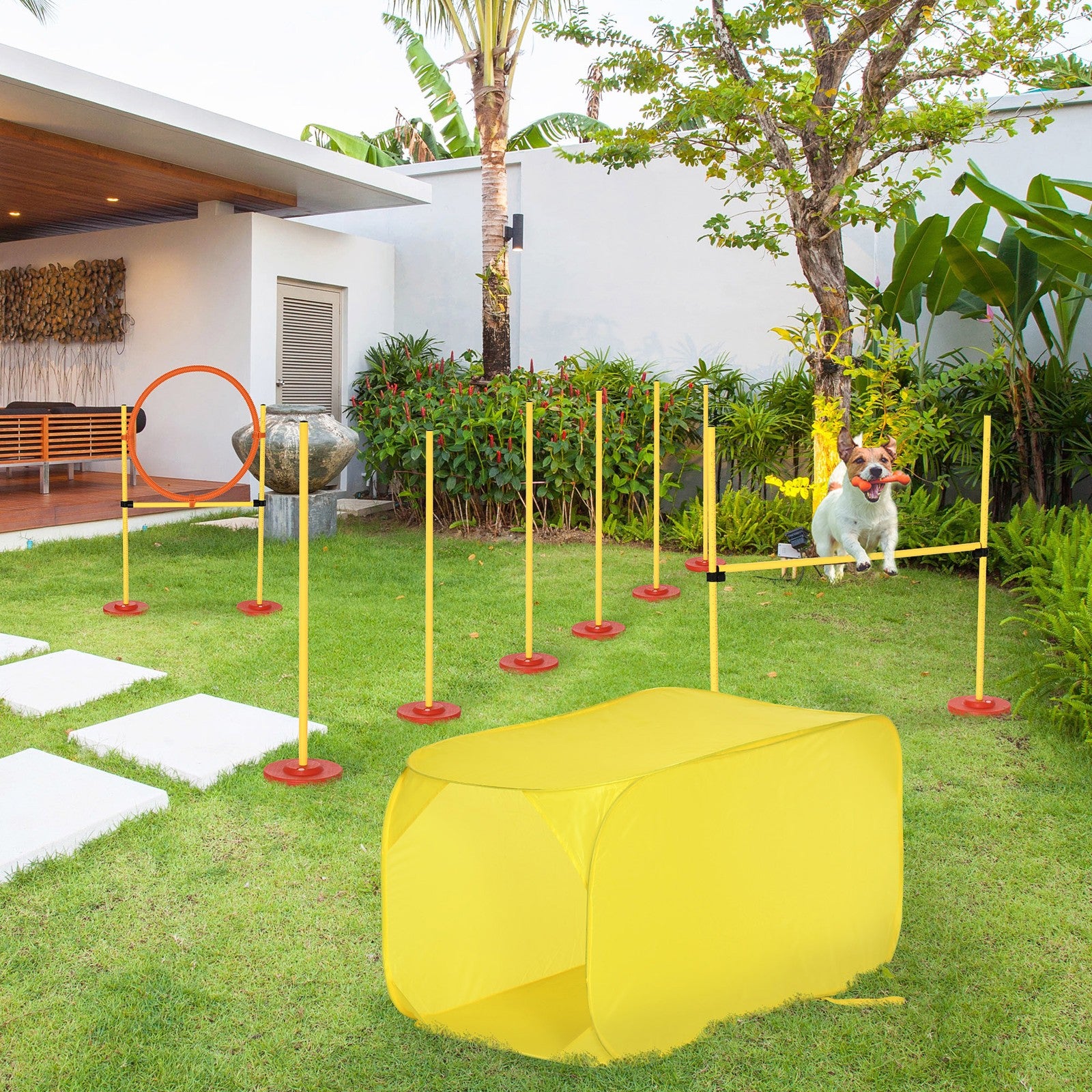 Outdoor 4 Pcs Dog Pet Agility Training Equipment Backyard Starter Course Set