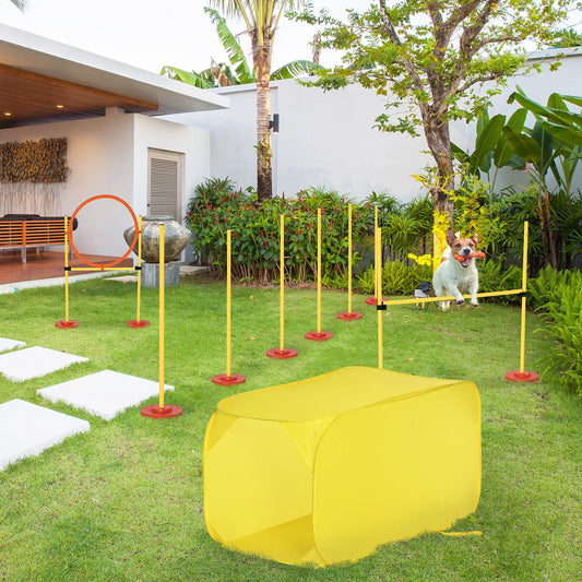 Outdoor 4 Pcs Dog Pet Agility Training Equipment Backyard Starter Course Set