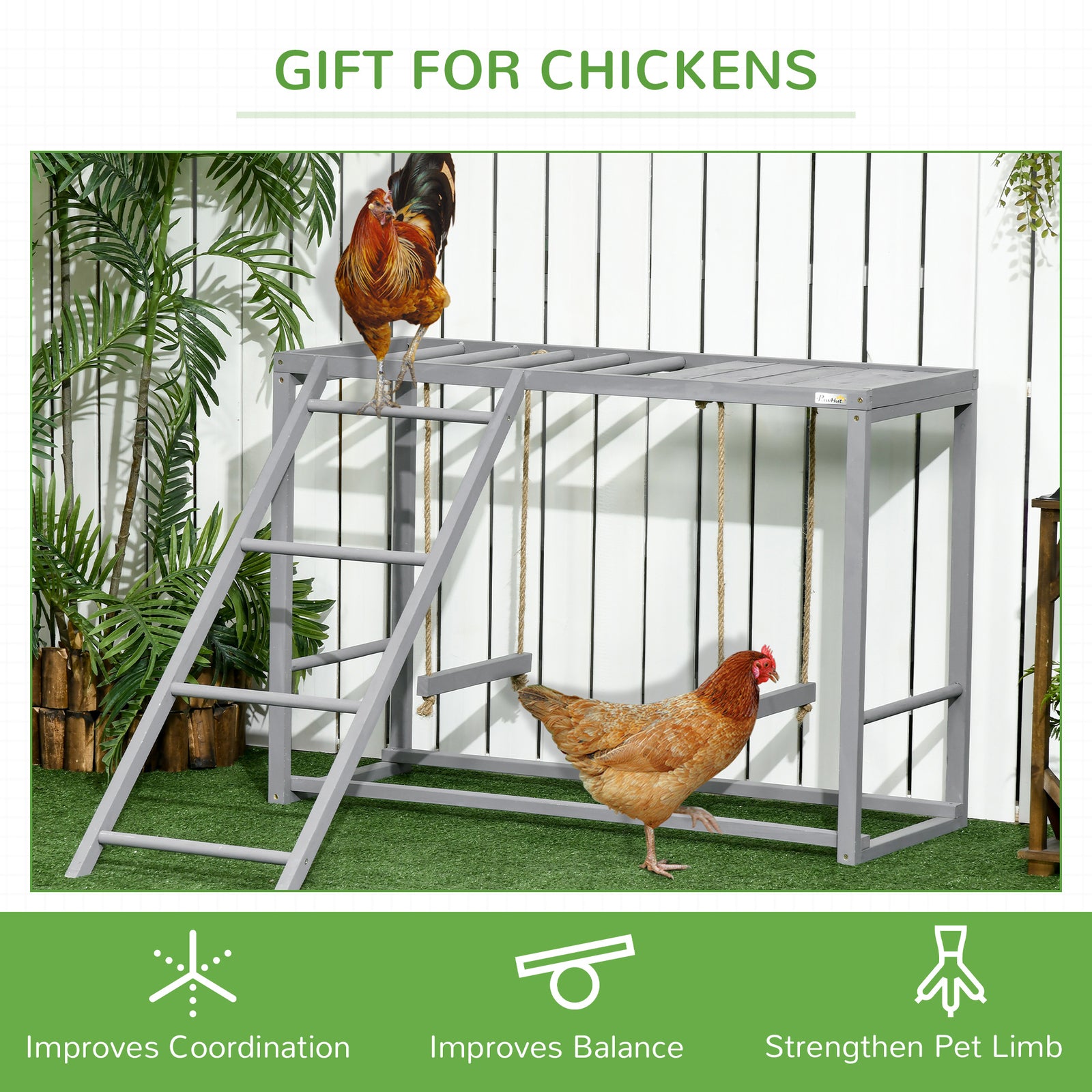 Walk in Chicken Run with Chicken Activity Shelf and Cover, 3 X 6 X 2M